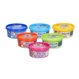 Horslyx Mini Six Pack Assorti deal