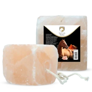 Salt Lick Himalaya 2-3 Kg met Touw