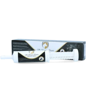 No Stress Paste Horse Injector