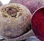 Rode Biet (voer) 20 KG